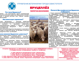 Управление ветеринарии г. Севастополя сообщает о Бруцеллезе