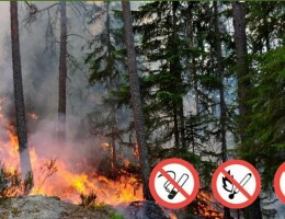 На территории города Севастополя введён пожароопасный сезон