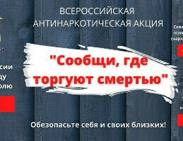 Стартовал второй этап Общероссийской акции "Сообщи, где торгуют смертью"