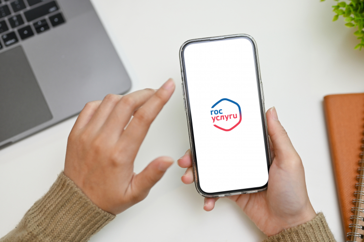 ruki-muzhchina-gosuslugi