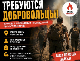Требуются добровольцы для оказания помощи в ликвидации последствий лесных пожаров