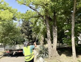 в июне провндены масштабные работы по благоустройству города