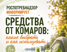 Средства от комаров: какие выбрать и как использовать.