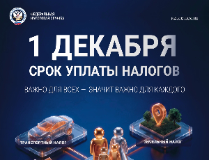 1 декабря — единый срок уплаты имущественных налогов